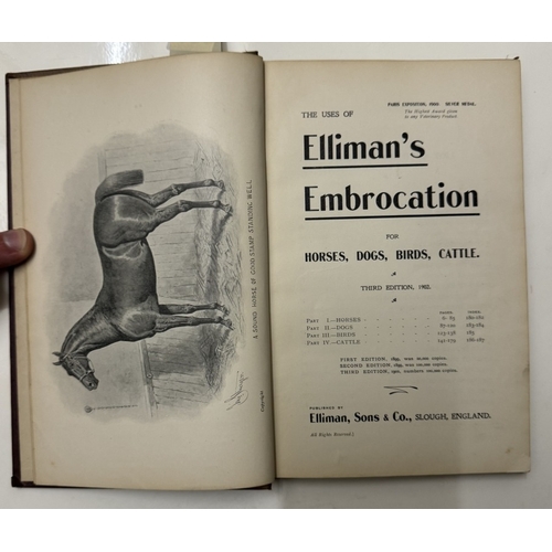 587 - A vintage book (1902) on accidents & ailments, first aid for horses, dogs, birds & cattle