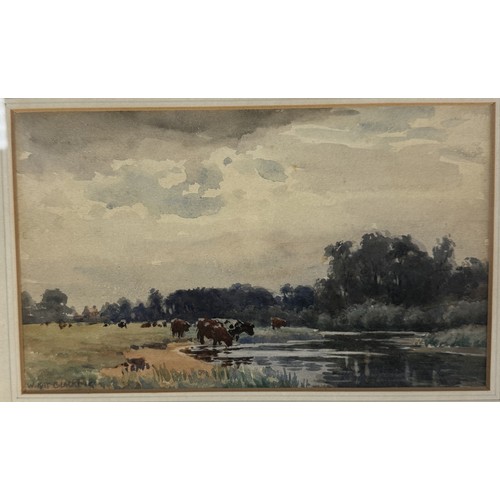 1080 - A watercolour of cattle at Water by W.Kay Blacklock