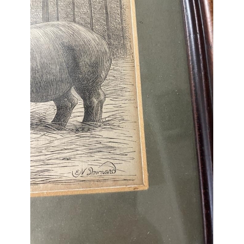 914 - 4 early engravings, one signed N. Downand