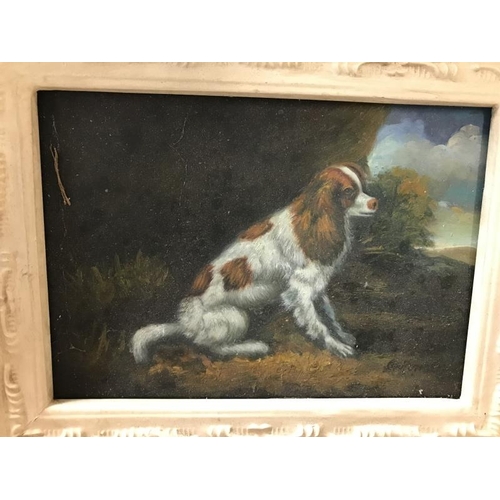 955 - A 20th century painted framed picture of a dog