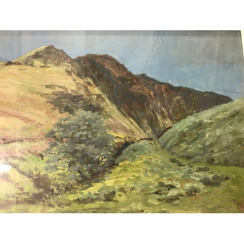 956 - A good painting of possibly Scottish Hills, not signed