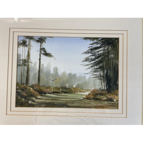 981 - 2 framed & glazed watercolours