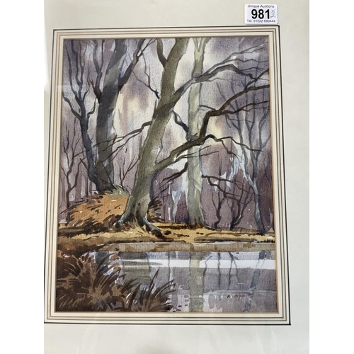 981 - 2 framed & glazed watercolours