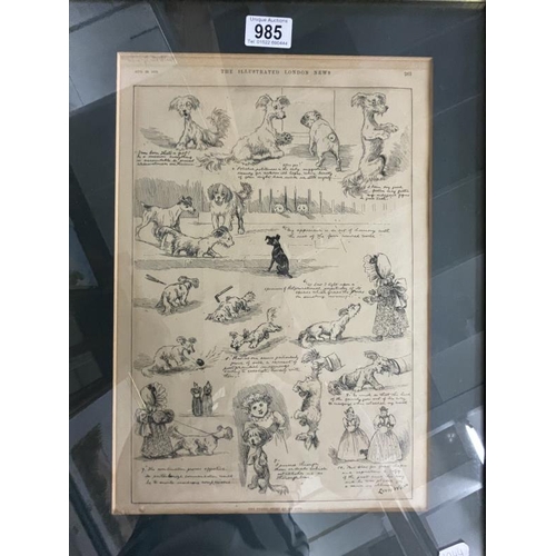 985 - An old 1893 paper cutting the Illustrated news called the tragic story of life, Louis Wain