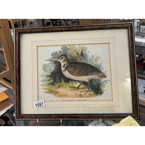 1097 - A framed & glazed print of The Woodcock