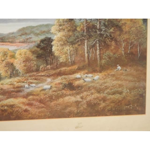 601 - A large framed and glazed rural scene entitled 'Glen Affric' by Wendy Reeve, COLLECT ONLY.