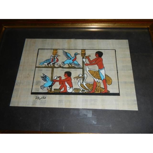 625 - Five framed and glazed Egyptian painting on papyrus. COLLECT ONLY.