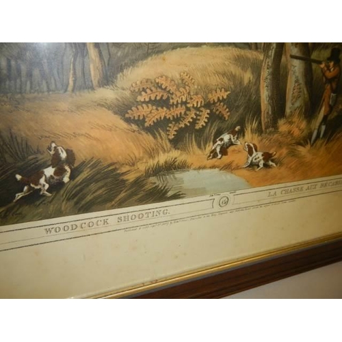 636 - A good framed and glazed mid 20th century engraving entitled Woodcock Shooting, COLLECT ONLY.