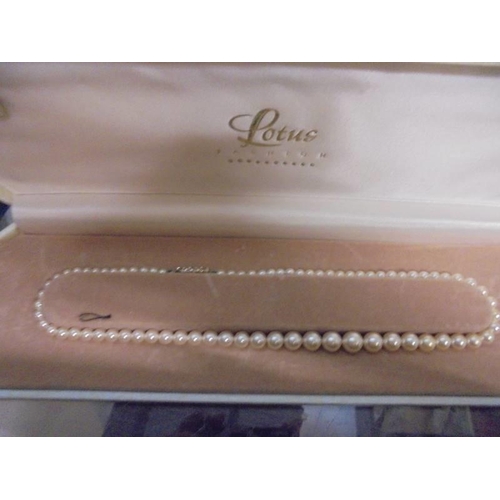 523 - Two cased rows of Lotus pearls.