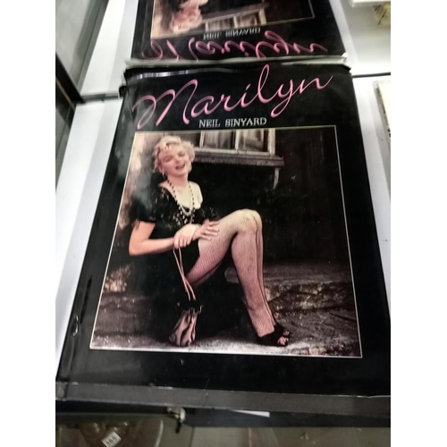 388 - A selection of Marilyn Monroe books