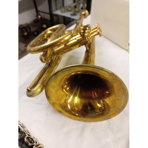 409 - A smaller version of a brass trumpet