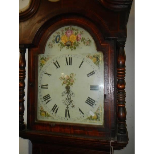 1494 - A painted dial Grandfather clock, COLLECT ONLY.