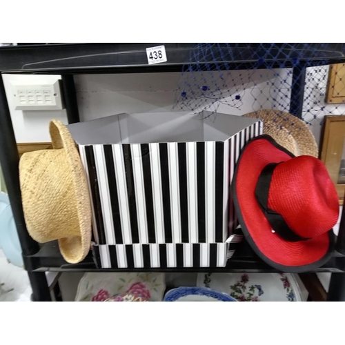 438 - 3 shelves of ladies hats