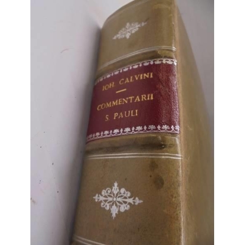 1229 - Calvin, Jean, In omnes Pauli Apostoli Epistolas, atque etiam in Epistolam ad Hebræos, item in Canoni... 