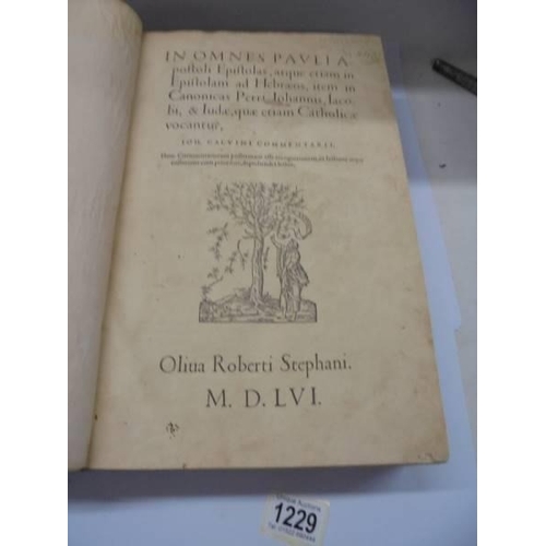 1229 - Calvin, Jean, In omnes Pauli Apostoli Epistolas, atque etiam in Epistolam ad Hebræos, item in Canoni... 