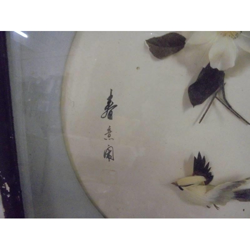 565 - A mid 20th century signed Chinese collage with feathers featuring birds.