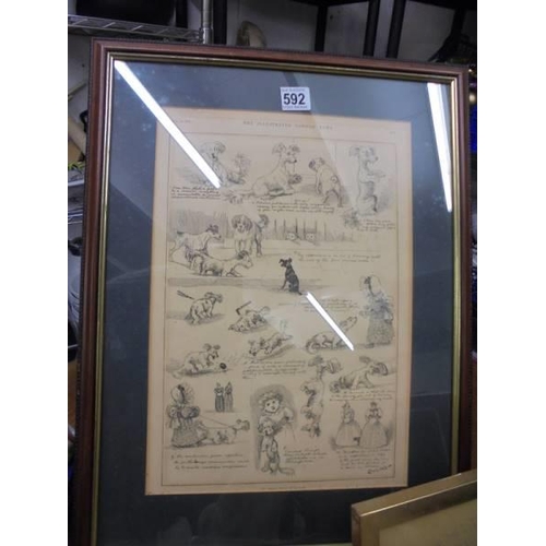 592 - A framed and glazed print featuring dogs and a pencil drawing of a cat. COLLECT ONLY.