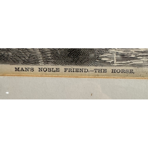 665 - A framed engraving of a horse entitled Man's Noble Friend - The Horse by J. Knight