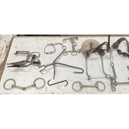 662 - A quantity of horse stirrups & bits etc