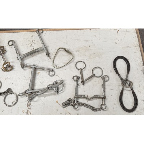 662 - A quantity of horse stirrups & bits etc