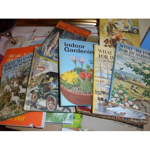 1438 - A quantity of Ladybird information books, two good craft books and other books.