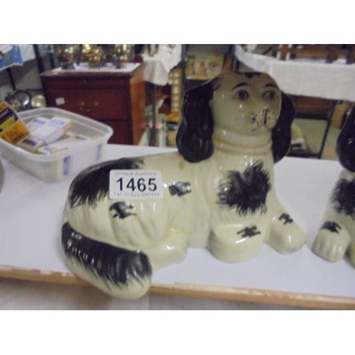 1465 - A pair of reclining Staffordshire spaniels.