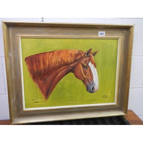 1601 - A good oil on canvas painting of a horsed head, initialed S A H 1986, COLLECT ONLY.