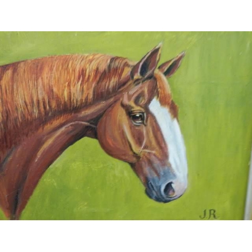 1601 - A good oil on canvas painting of a horsed head, initialed S A H 1986, COLLECT ONLY.