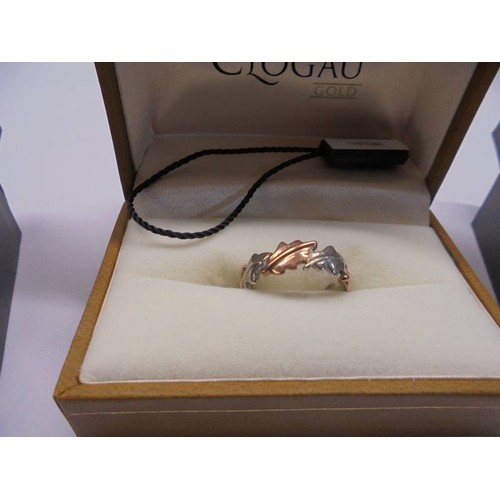 1056 - Five silver Clogau rings in boxes, all size M half.