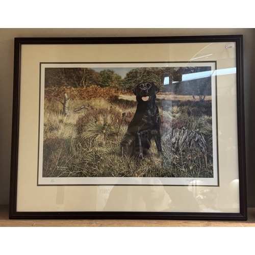 1 - 2 Framed & glazed signed prints of Black Labradors including Thachstone 185 / 380 & Nigel Hemming