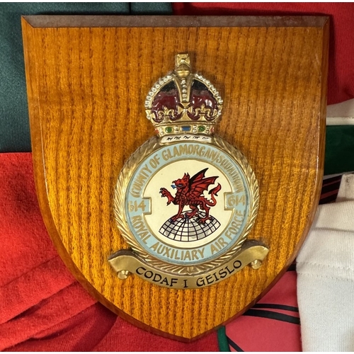 136 - 2 Welsh Groggs, RAF Regimental plaque, cap, sign & A quantity of jumpers & sweatshirts, most featuri... 