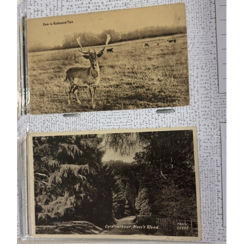 1200U - 3 albums of early-mid 20th century postcards, mainly topographical (approximately 600 postcards)