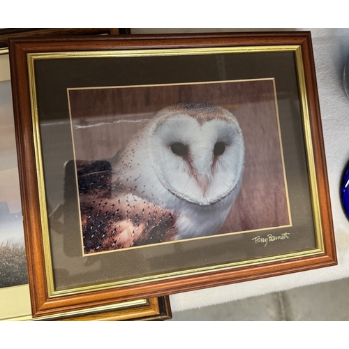 1722 - A quantity of framed & glazed owl prints etc