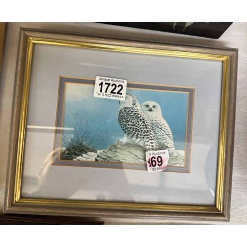 1722 - A quantity of framed & glazed owl prints etc