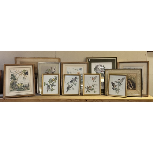 1865 - A quantity of prints of birds including Mallard ducks drawn from nature etc COLLECT ONLY