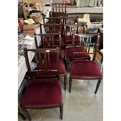 1897 - A set of 8 mahogany dining chairs COLLECT ONLY