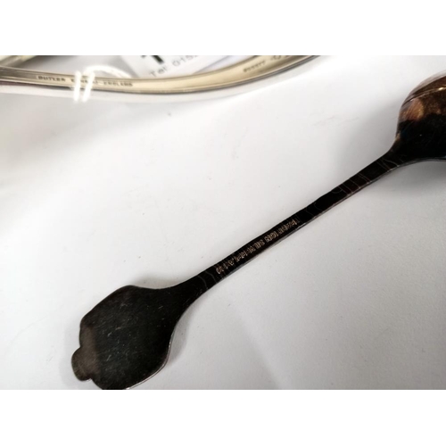 1686 - A silver plated soup ladle & an enamel rose silver plate teaspoon