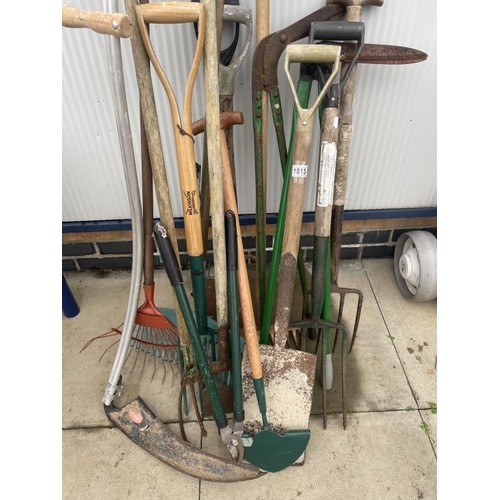 1815 - A large lot of garden tools COLLECT ONLY