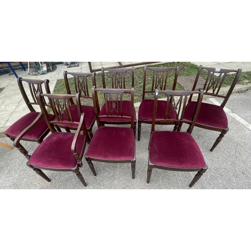 1821 - 8 maroon velvet covered chairs COLLECT ONLY