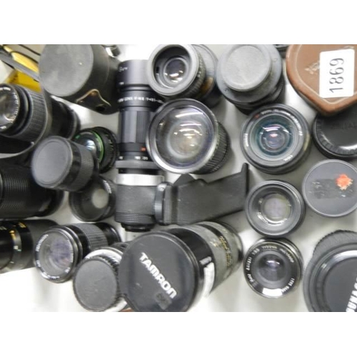 1869 - A large lot of camera lenses.