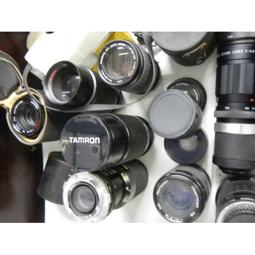 1869 - A large lot of camera lenses.