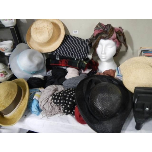 1645 - A good lot of hats and scarves.