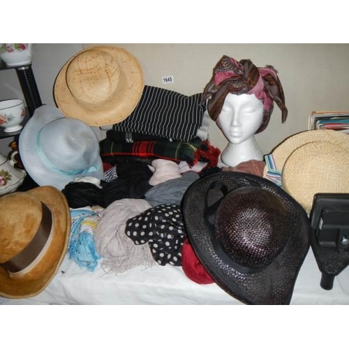 1645 - A good lot of hats and scarves.