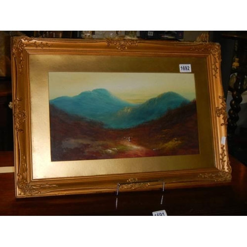 1692 - An early 20th century framed and glazed oil painting of a mountain scene, COLLECT ONLY.