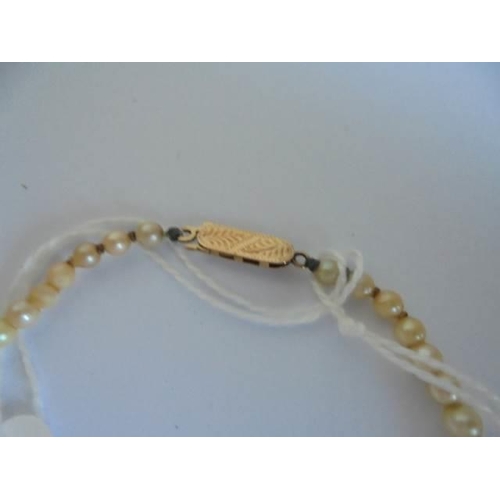 45 - A string of pearls with 9ct gold clasp.