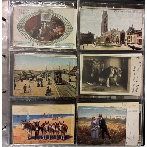 260 - An album of postcards including topographical, miscellaneous & Royalty etc.