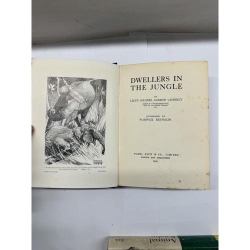 278 - A good collection of 6 vintage hunting books including Hunting In Africa by Hibben 1965, Animal Kita... 