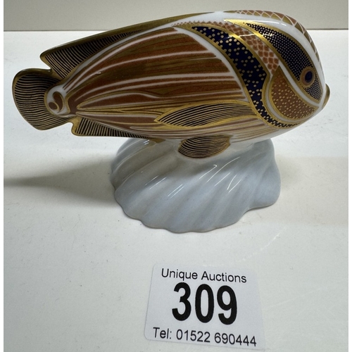 309 - A Crown Derby tropical fish 'Sweetlips' no stopper.