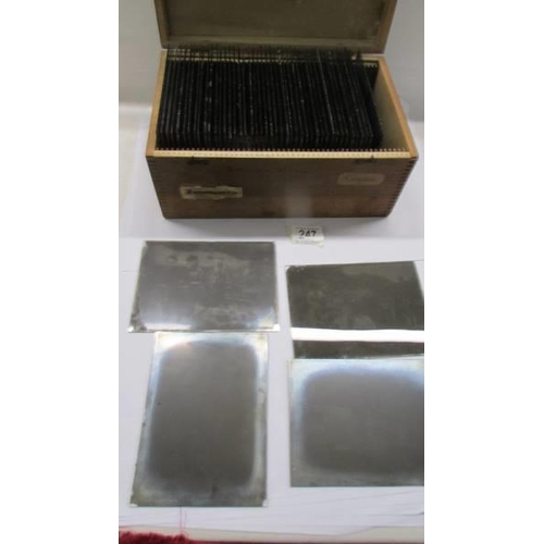 247 - Negatives - a set of 48 glass photographic plates in fitted pine case C1899 - views of & from the Is... 