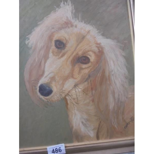 486 - An oil on board study of a dog initialed GRY 79. image 37 x 30 cm, frame 44 x 36.